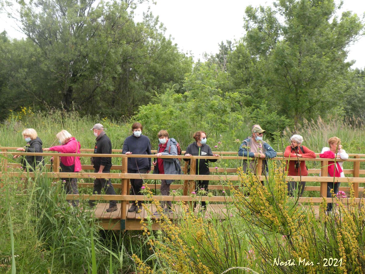 L'édition 2021 de la fête de la Nature à Rognac, la lagune nous regarde: balades commentées, atelier d'écriture, plongée en eau claire, baptêmes en catamaran, course aux déchets, expo scolaire! 😎
nostamar.fr
ville-rognac.fr