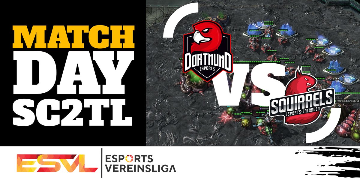 ESPORTS VEREINSLIGA tweet media