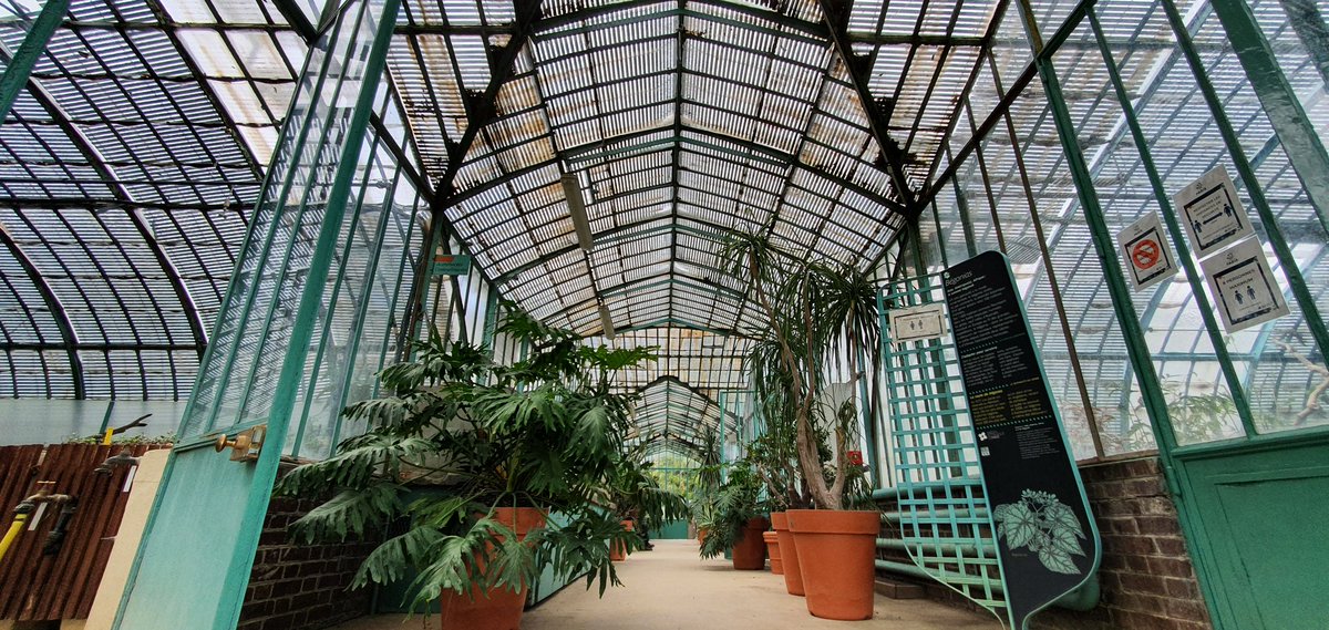 Archi_BoulBi's tweet photo. Le Jardin des Serres d'Auteuil- valeur sûre pour architecture, nature et connaissance. 
#SerresdAuteuil #JardinBotanique #weekend #weekendvibes #architecture #sundayvibes #France #Paris #GrandParis #BoulogneBillancourt #RolandGarros https://t.co/1C9Z4r8kBy