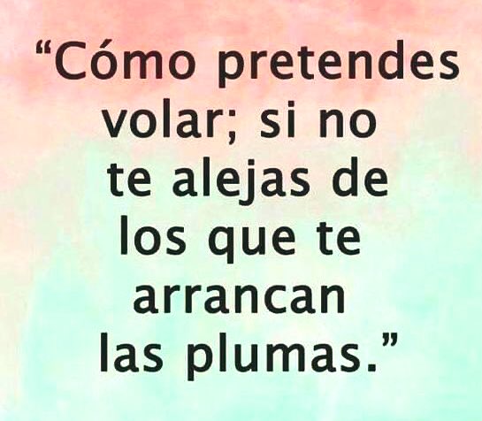 RuyNavarro's tweet photo. ¡Ojalá existiera el 100% participación! Todo es gracias al esfuerzo y vida de quienes lograron hoy tengamos ese Derecho; ¡Ejercerlo es pago a esas Vidas! A quienes estoy inmensamente Agradecido ¡Viva México 🇲🇽 ! Gracias INE e Institutos Garantes de la Democracia! ¡Participa Vota! https://t.co/84EFz7J7lz