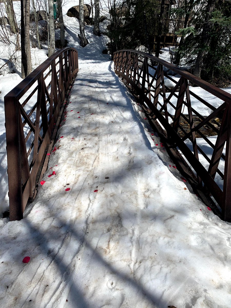hike_co's tweet photo. @averagehiker We love bridges. https://t.co/WHjObqKUv8