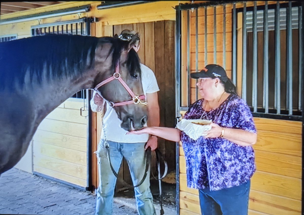 Lisa Frieze 💙🇺🇦💛🙏 tweet media