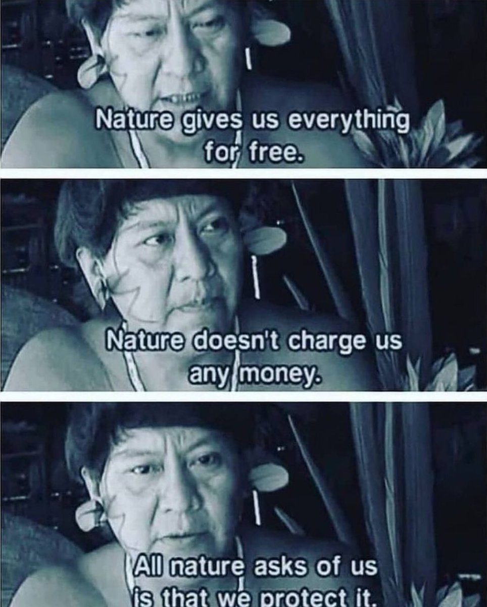 inhumans of capitalism (Ojibwa )☭ tweet media