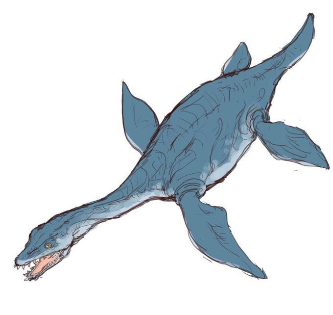 首長竜の一種エロマンガサウルスEromangasaurusはオーストラリアの内陸部エロマンガEromanga盆地(かつてはエロマンガ海という内海だった)から化石が出土し名前はその地名に由来していて、南太平洋バヌアツのエロマンガErromango島とは無関係だそうです。(綴りに注意。綴りも違います)。 