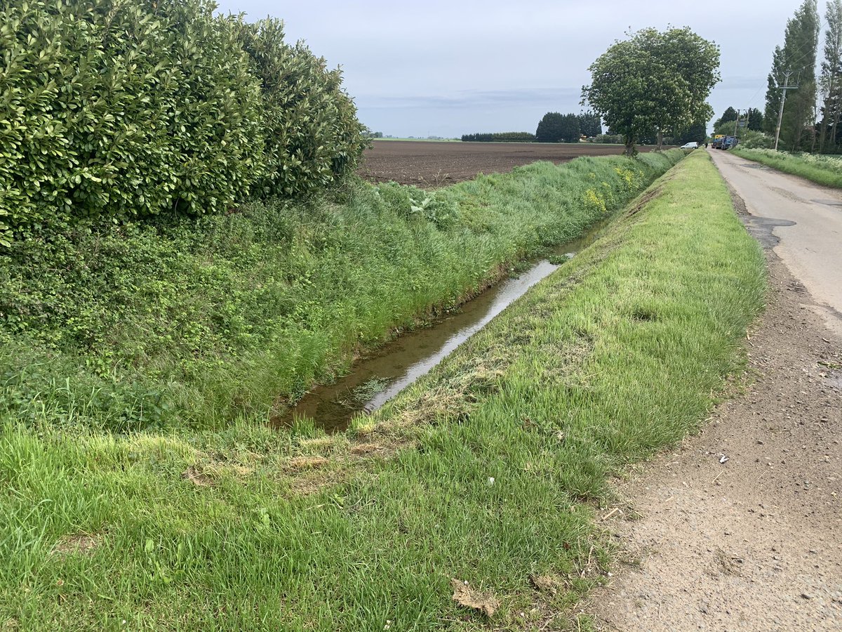 Jez Rose tweet media