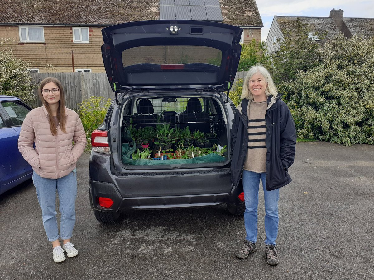 nikkigammans's tweet photo. A massive thank you to one of our #volunteers Jill Black for growing and donating 130 #wildflower plants to us. These included marsh mallow, teasel, knapweed, betony and ragged robin. These will be planted out tomorrow, the #bees will be pleased @BumblebeeTrust @JustClare_Alley https://t.co/6tCOygxC1N