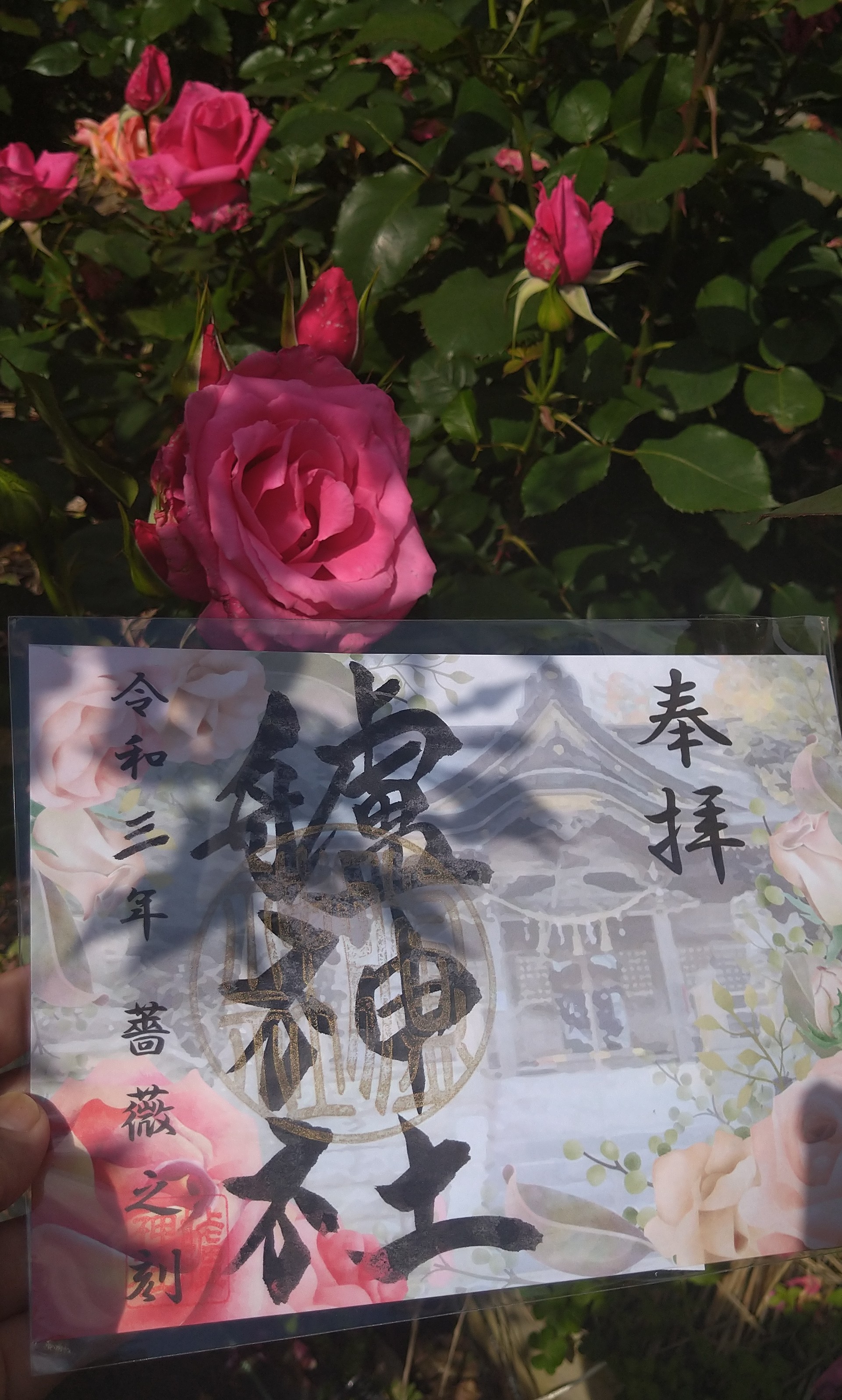Kumi Rody バラに癒やされてまいりましたー うちにもバラあるんだけどね なぜか今年は咲かないもので 艫神社 薔薇之刻 T Co Ldvgfk4oqn Twitter