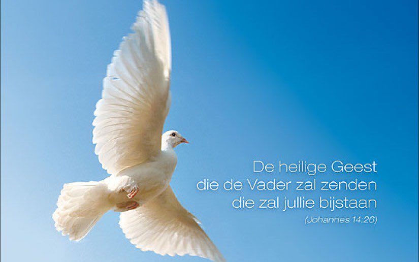 Psalm 119:3
Och, schonkt Gij mij de hulp van Uwen Geest
Mocht die mij op mijn paân ten leidsman strekken!
'k Hield dan Uw wet, dan leefd' ik onbevreesd;
Dan zou geen schaamt mijn aangezicht bedekken
Wanneer ik steeds opmerkend waar' geweest
Hoe Uw geboôn mij tot Uw liefde wekken.