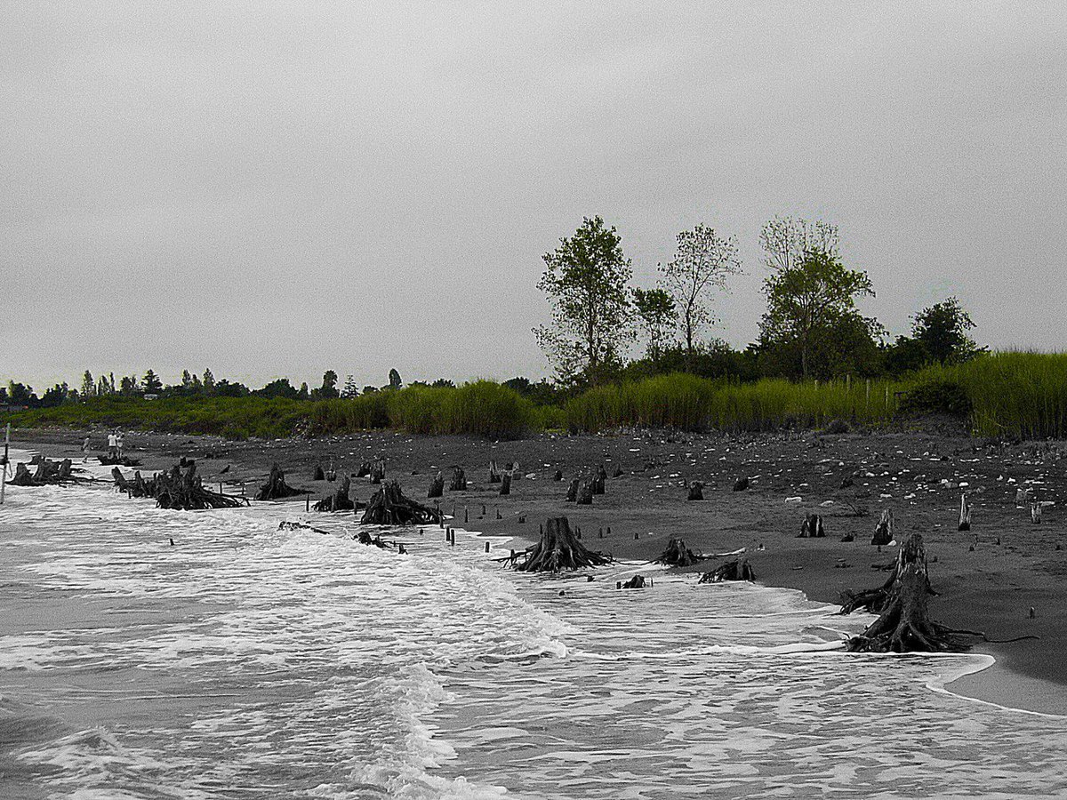 yas_sersadat's tweet photo. Humans are harming nature more and more everyday and they didn't want a healthy life for the next generations, please don't be one of them and be a wise, give a better tomorrow to everyone by taking care of nature.
#photooftheday #nature #sadsea #sadbeach #nftphotography #NFTs https://t.co/szaZwjzPRr