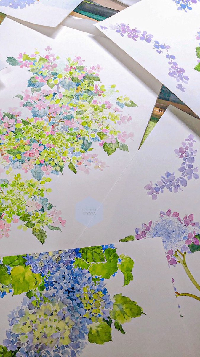 呀呀on Twitter ꂧ ꂧ Watercolor Watercolorart Watercolorpainting 水彩 花 绣球花 紫陽花 Hydrangea 呀呀art