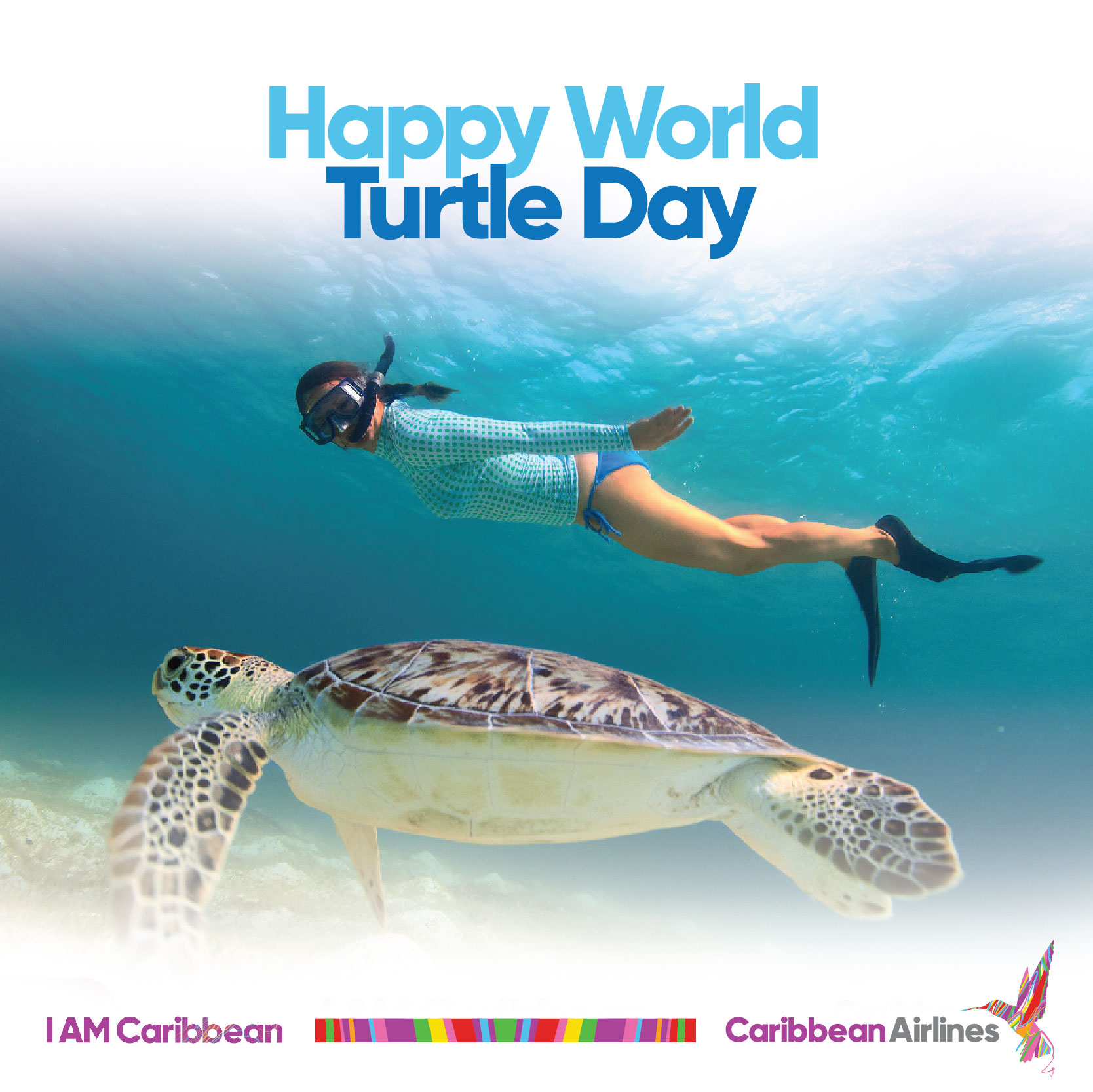 Caribbean Airlines Happy World Turtle Day Get Ready To Dive Into Your Next Adventure And Even Swim With The Turtles We Re Ready Whenever You Are Book Your Flight From