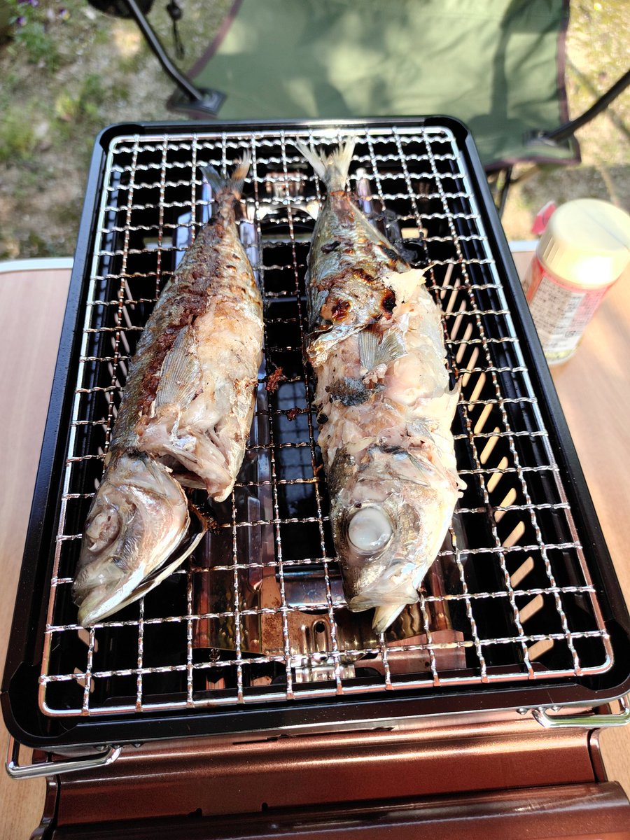釣ったアジを焼いて食べます😋
新鮮で美味しい😋