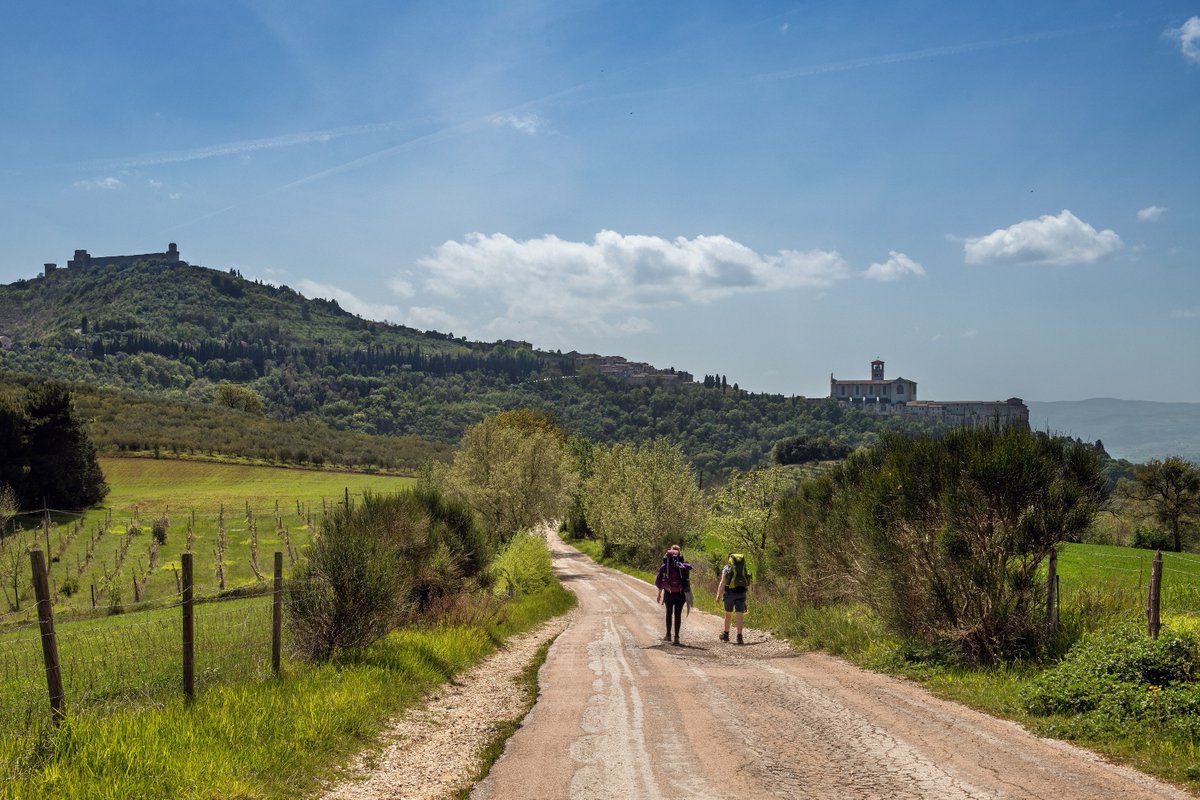 UmbriaTourism's tweet photo. In #Umbria lungo la #viadiFrancesco💚Da #Citerna a #Gubbio #Perugia e #Assisi: 270km di verde natura e spiritualità per riscoprire i luoghi che ispirarono il Santo.A piedi in bici seguendo tao giallo e cartelli blu
https://t.co/HSZ96Yi3bS
Ph viadifrancesco, UmbriaTourism
#cammini https://t.co/ylQLLcpeVI
