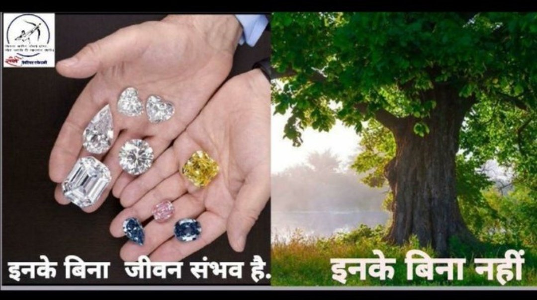 Varsha varma (@eccevarsha) on Twitter photo 