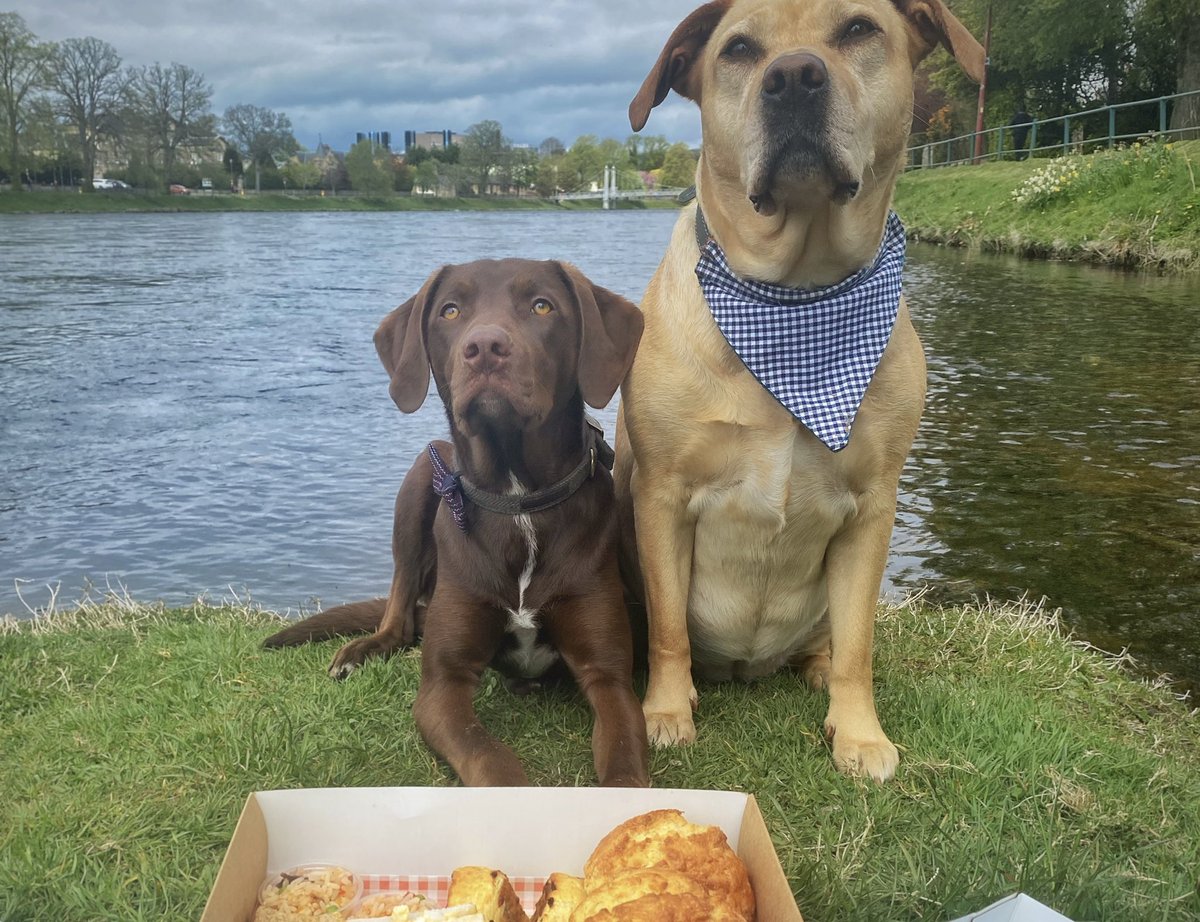 A dog friendly guide to Inverness city with <a href="/VisitScotland/">VisitScotland</a> 🐕🏴󠁧󠁢󠁳󠁣󠁴󠁿😁. Culloden Battlefield😭, magical standing stones, lots of hearty Scottish food and drink😁! Read about it here - theayelife.com/dog-friendly-i…

#HameTownTourist #OnlyInScotland #RespectProtectEnjoy #ad