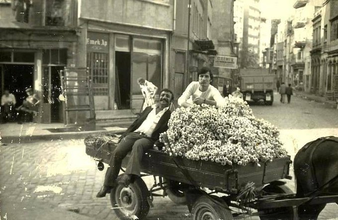 Papatya satıcısı. (istanbul,1970)