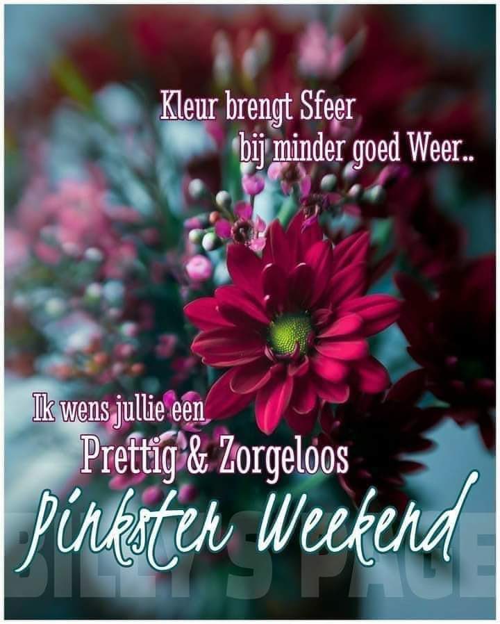 Goedemiddag Twitter Mensen⚠️🏠🖤