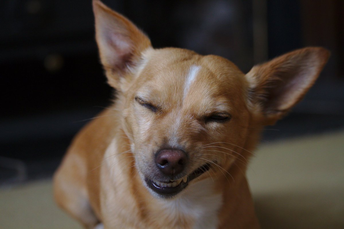 Louis (@louisrjames) on Twitter photo 