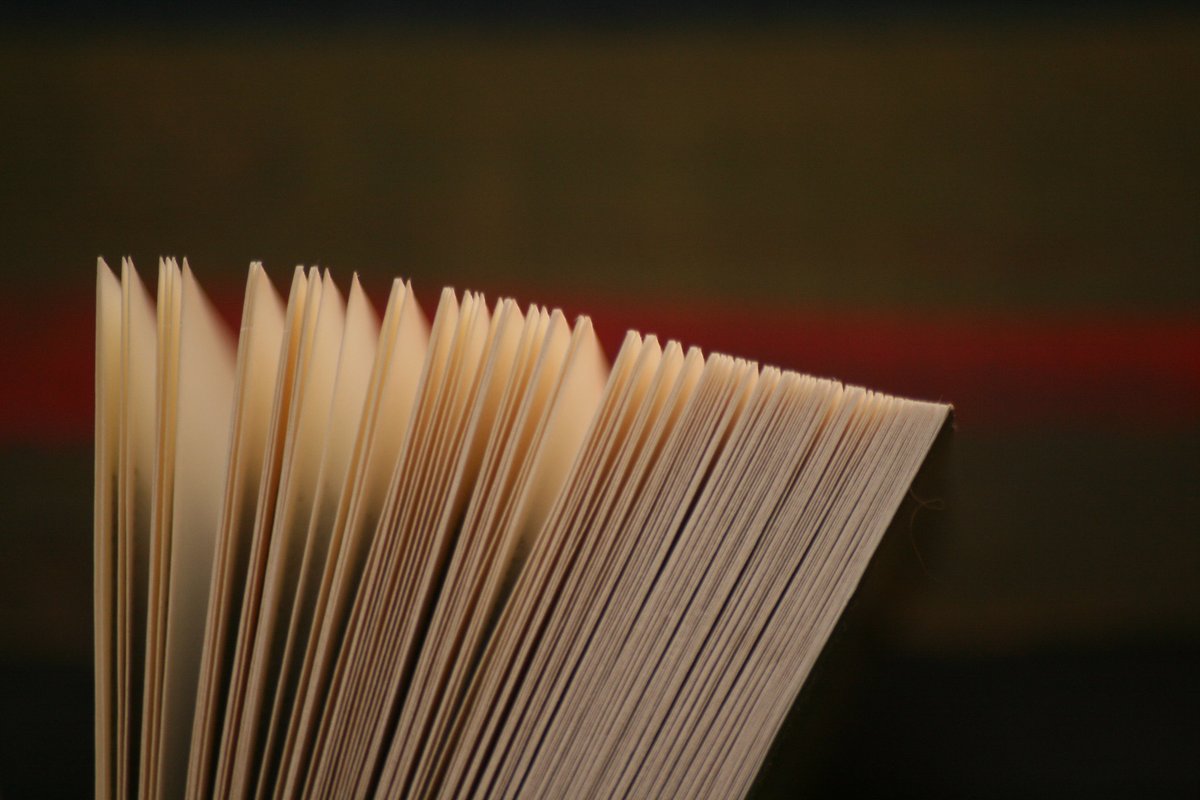 Métiers du livre : un répertoire des formations, région par région actualitte.com/a/6XnQjqz2
#edition #bibliotheque #librairie #diffuseur #distribution  #illustration #auteur #formation #metiersdulivre 
<a href="/FederationFill/">Fill</a>