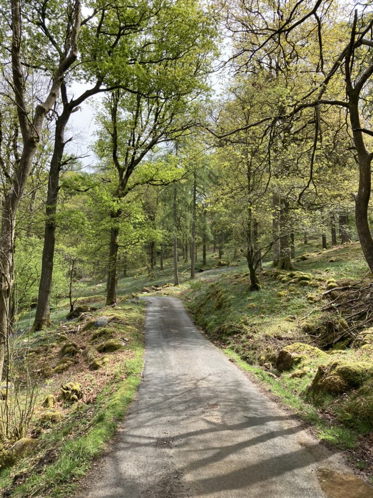 simonirving64's tweet photo. Walk from Elterwater into Langdale for lunch at Stickle Barn and back - #nicetobeout #langdale https://t.co/TrxWtNJZsA