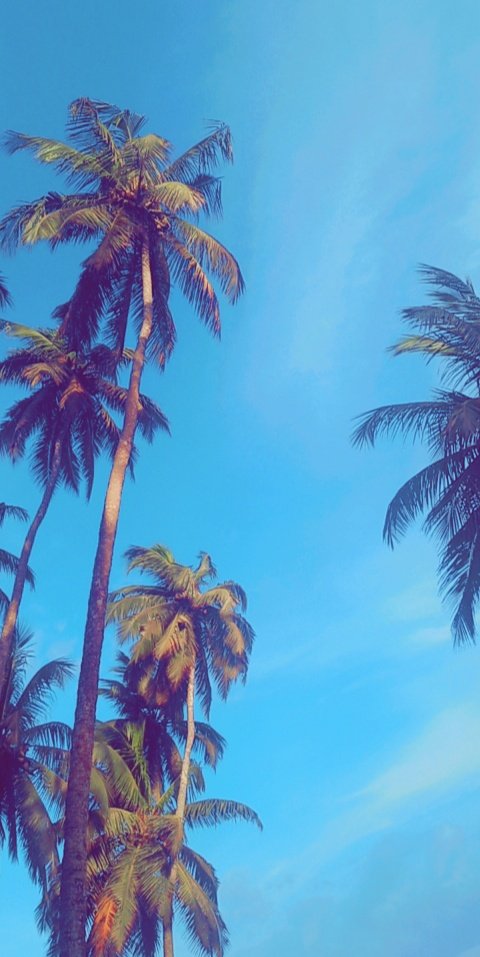 emogy_djr's tweet photo. Kwesi Da! #emogy #ifyouknowyouknow
#SundayFeels https://t.co/P7Z2Vt3zm5