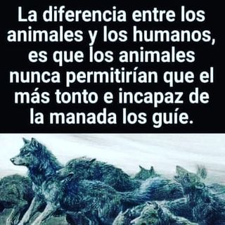 andreugalo's tweet photo. SI piensas que algún político tonto arregle tu vida siempre vivirás en un caos mental de auto-destruccion Todo es un proceso individual de guiar la mente desde el corazon #consciencia #CuestionaTodo #Entiende #AmorYLuz #Salud #Tarragona #LibrePensador https://t.co/QlVBSjTY6Q