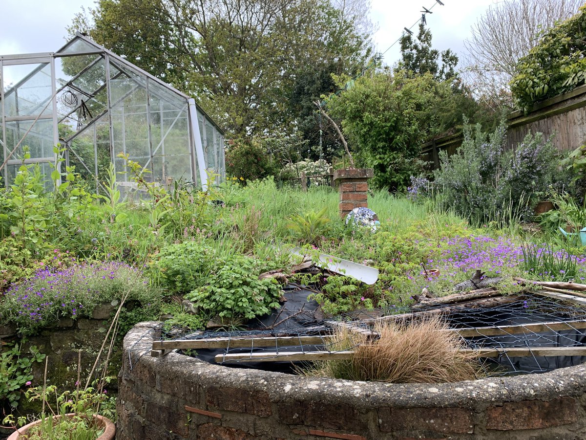 nick_feather's tweet photo. One-month countdown to living in a house with no heating, antiquated electrics, nothing to cook on, damp, mould, a worrying smell when you enter and a garden in need of some TLC... Plus 4 happy fish. #LivingTheDream #LookingForwardToSummer https://t.co/mTNLbMSoDO