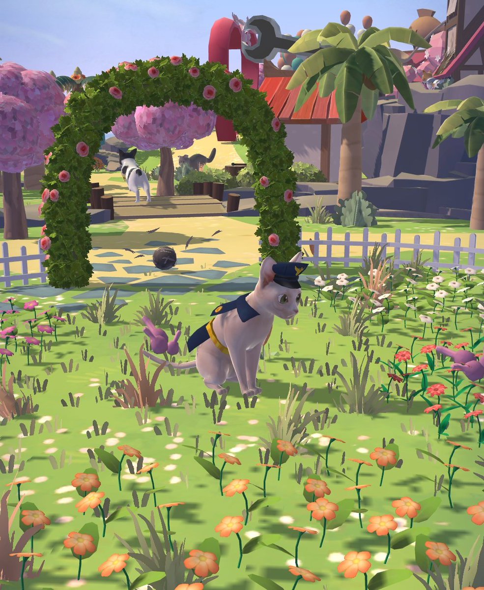 경찰냥 범죄나비 검거작전  #냥냥고양이리조트 #애옹스샷대회