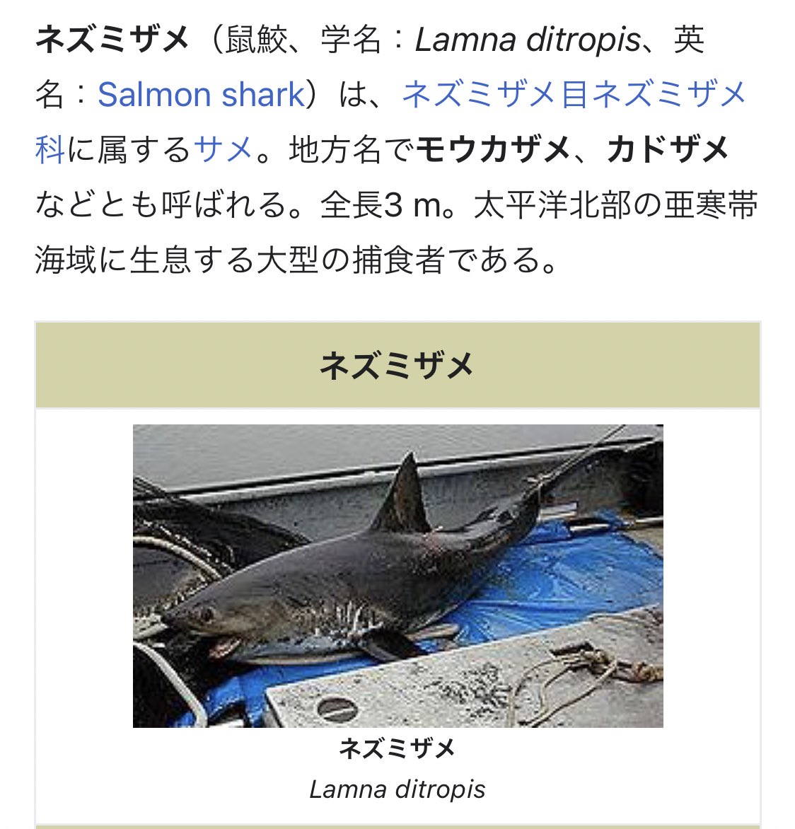 広島県の一部地域のスーパーに売られている わに 生食用 ねずみ は一体何の肉なの 何一つ情報が整理されない肉 Togetter 広島県の一部地域のスーパーに売られている わに 生食用 ねずみ は一体何の肉なの 何一つ情報が整理されない肉 Togetter