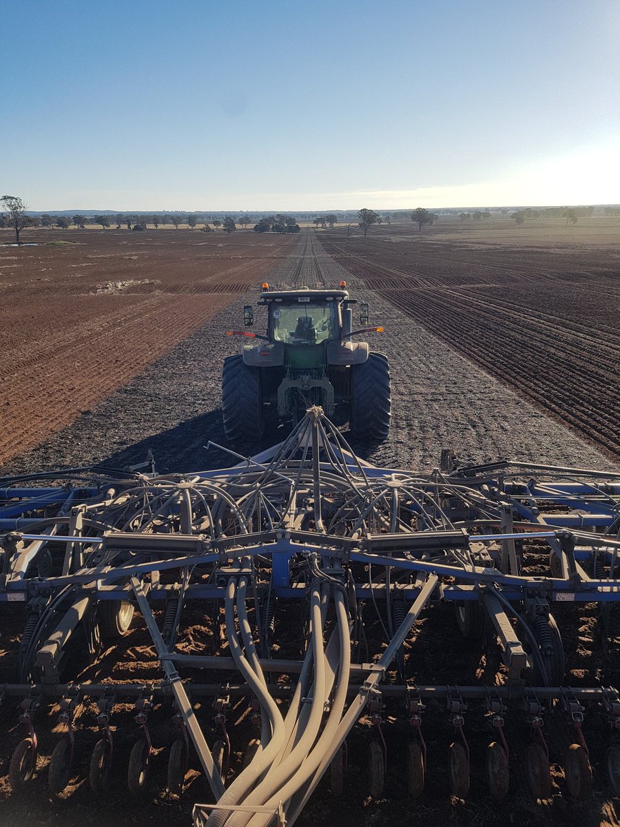 Last lap #plant21
