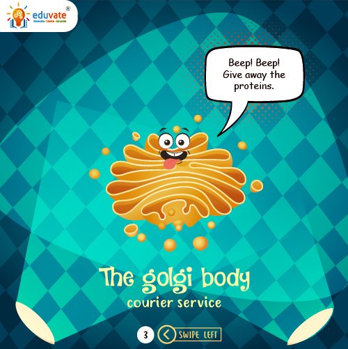 EduvateP's tweet photo. Know the cell Organelles
.
.
#letseduvate #science #sundaylearning #learnwithus #learningplatform #innovate #create #educate https://t.co/rcXtCw0OwF