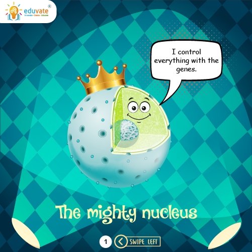 EduvateP's tweet photo. Know the cell Organelles
.
.
#letseduvate #science #sundaylearning #learnwithus #learningplatform #innovate #create #educate https://t.co/rcXtCw0OwF