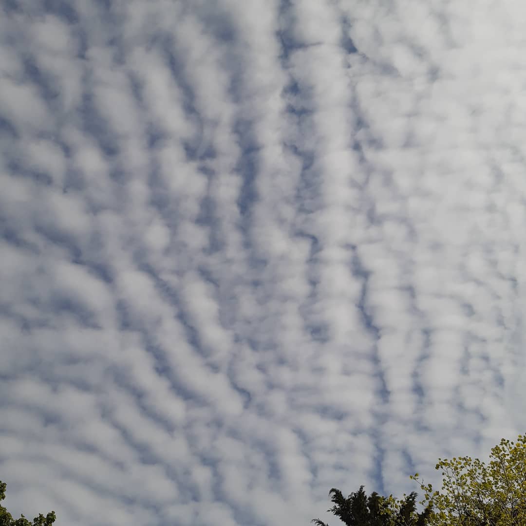 Clouds this morning  #clouds #chrispage <a href="/ChrisPage90/">Chris Page - Weatherman</a> <a href="/AngliaWeather/">Anglia Weather</a>