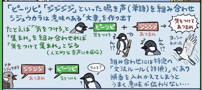 今日の #ダーウィンが来た 、これじゃん。(『図解なんかへんな生きもの』シジュウカラ回より) 