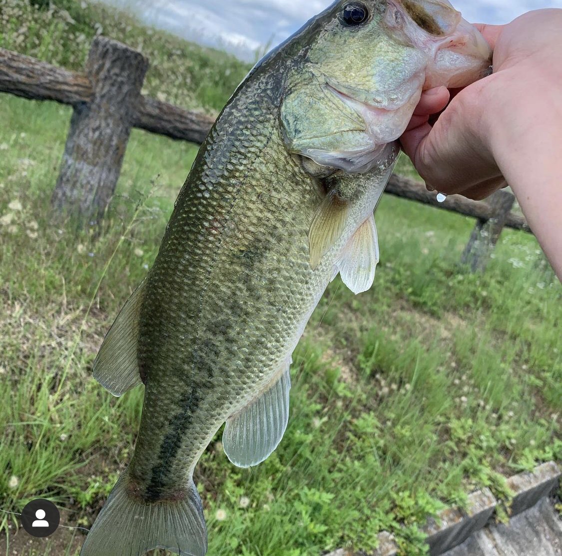 ブラックバス釣り