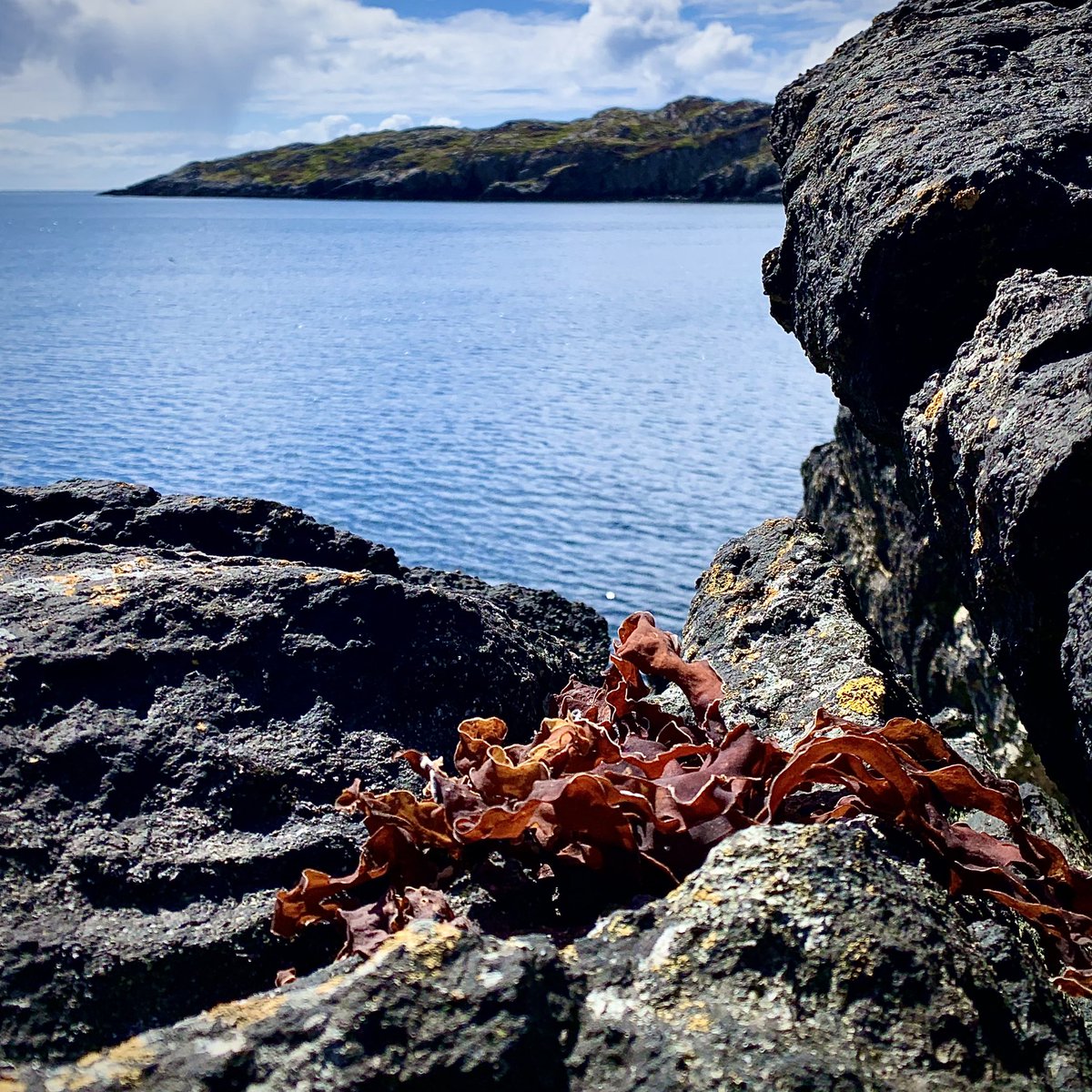 harrisdistiller's tweet photo. Here in Harris, each Sunday our distillery doors are closed.  On a Sunday we reconnect with the things that are important to each of us.  It is important to make time to appreciate the little things we sometimes take for granted. #Harrisathome https://t.co/7F8HcsM9xb