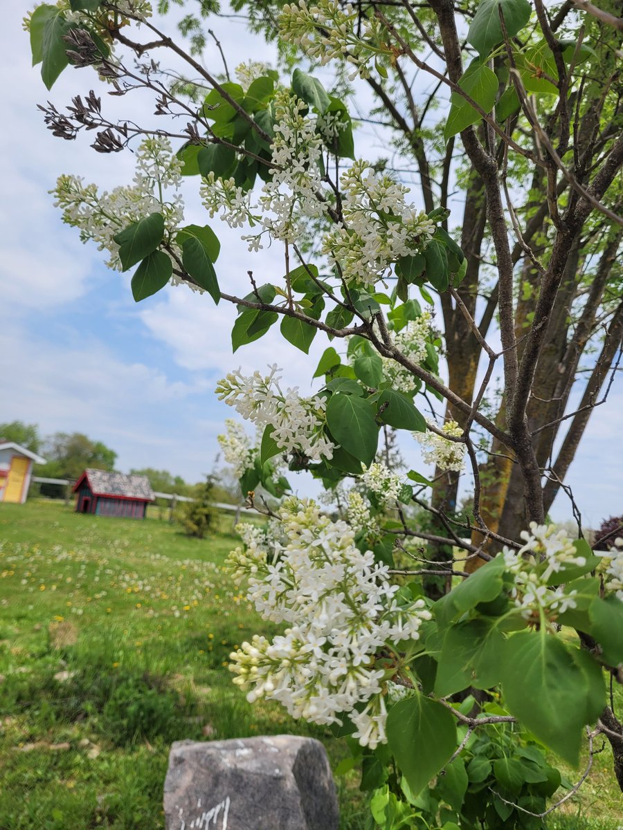 Jeungsoon Park tweet media