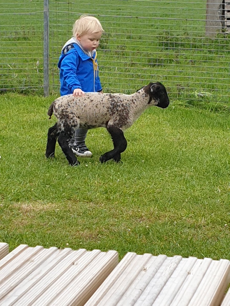 heatval74's tweet photo. Great morning out @wellsidekg https://t.co/gJQ32f693t