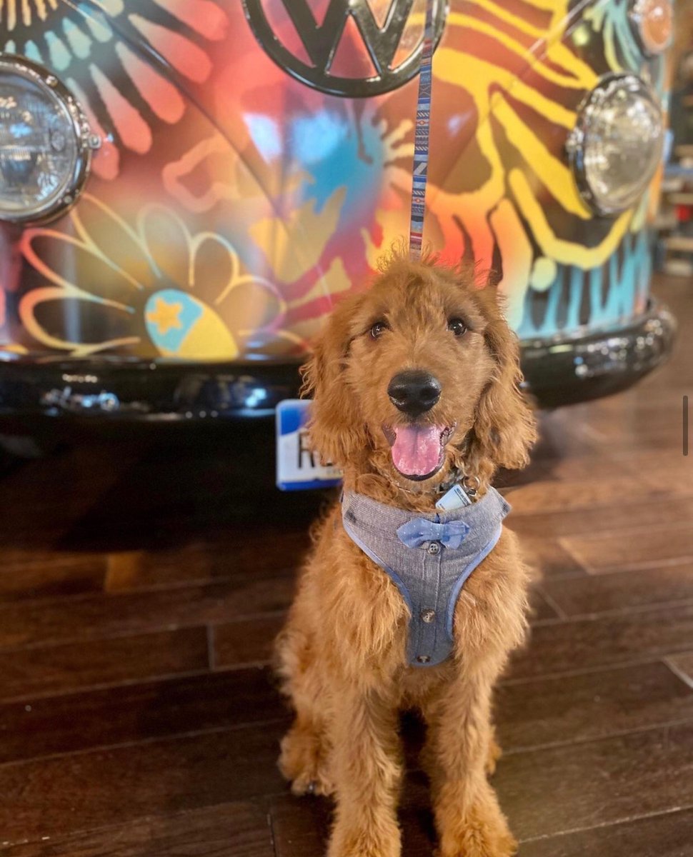 Sunday FUNday throw back ✌🏾