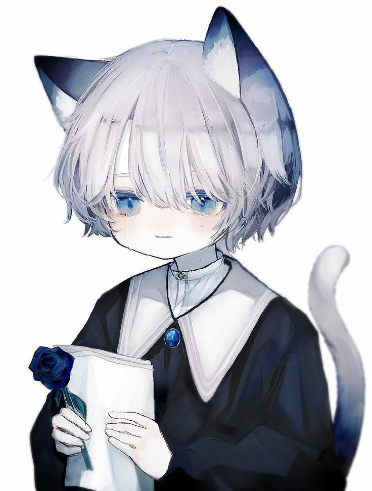 『 lemon reader 』 tweet media