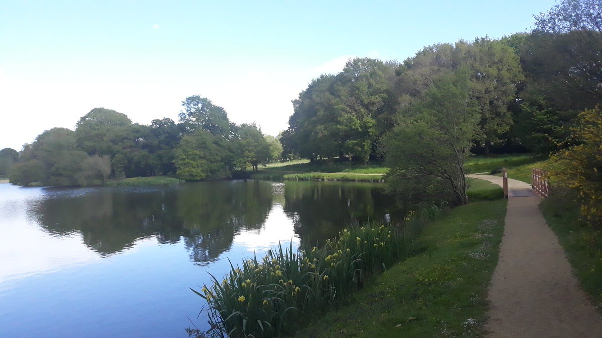 ThiChaplain's tweet photo. L'étang des Sources à #MaelCarhaix  le 22 mai 2021, c'est un excellent coin de pêche de deuxième catégorie (hier vers 19h j'ai même vu des float Tub être mis à l'eau). #nature #environnement #pêche #AAPPMA #KreizBreizh #balade #ruralité https://t.co/WEOwrYkApr