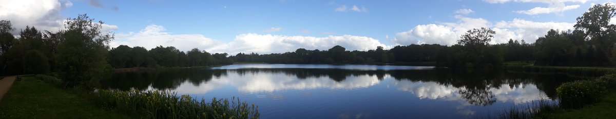 ThiChaplain's tweet photo. L'étang des Sources à #MaelCarhaix  le 22 mai 2021, c'est un excellent coin de pêche de deuxième catégorie (hier vers 19h j'ai même vu des float Tub être mis à l'eau). #nature #environnement #pêche #AAPPMA #KreizBreizh #balade #ruralité https://t.co/WEOwrYkApr