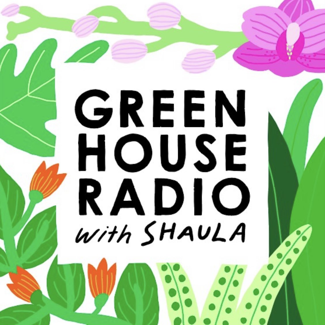 GREENHOUSE RADIO with Shaula
ポッドキャスト初めました！✨♥️✨
Apple podcast, Spotify, Anchor, などで聞けるようになりました～
I started a podcast!!
#シャウラのグリラジ #podcast #ポッドキャスト