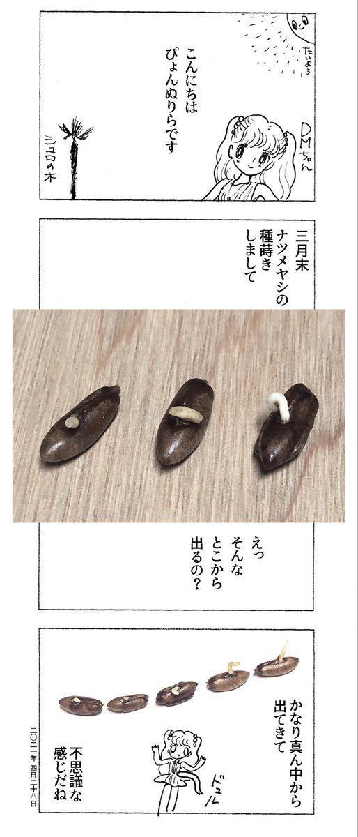 ぴょんぬりダイアリー 