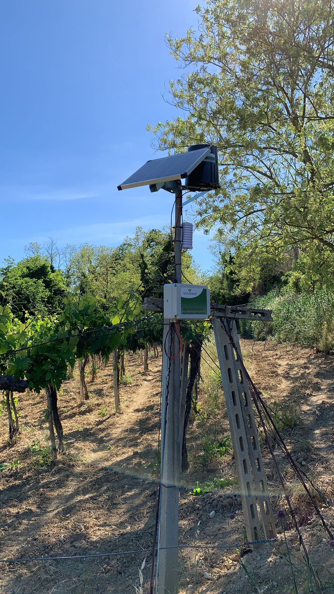 TerraSmart tweet media