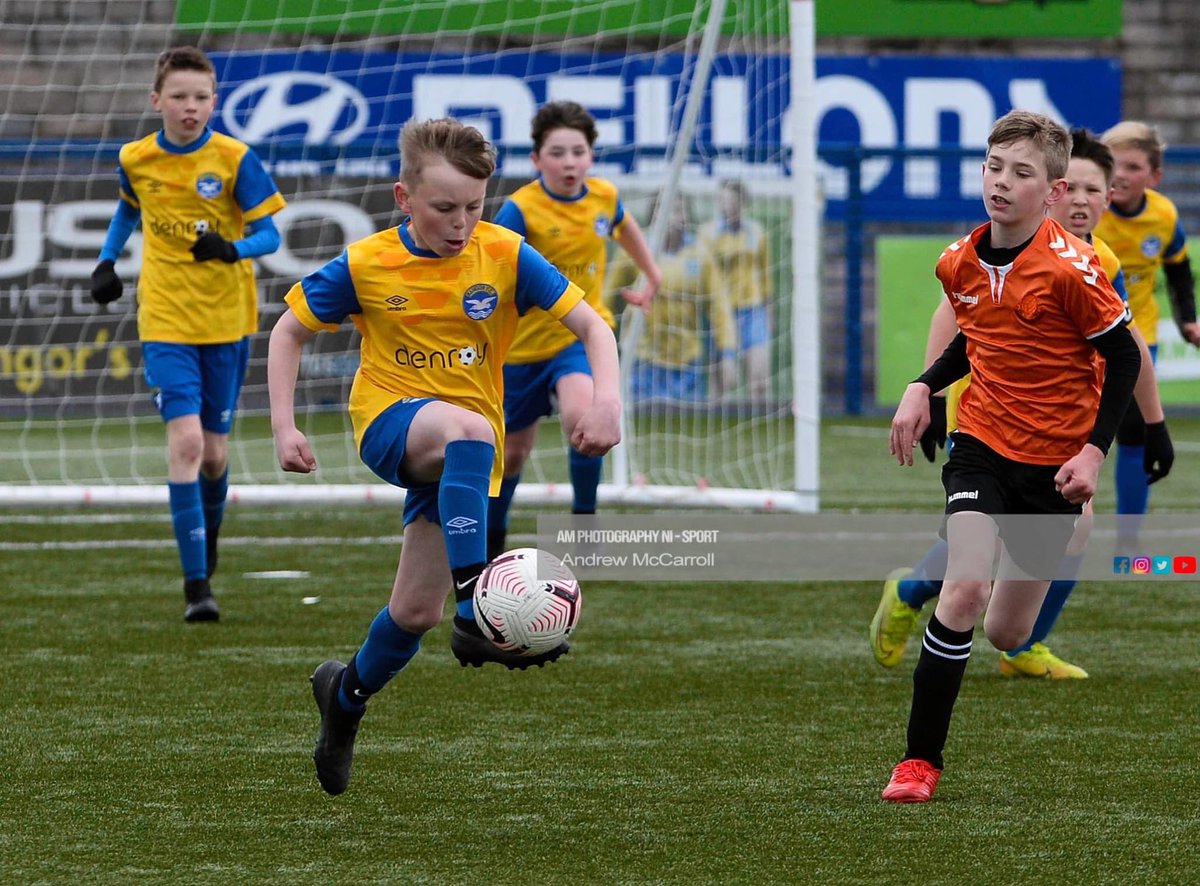 Bangor FC tweet media