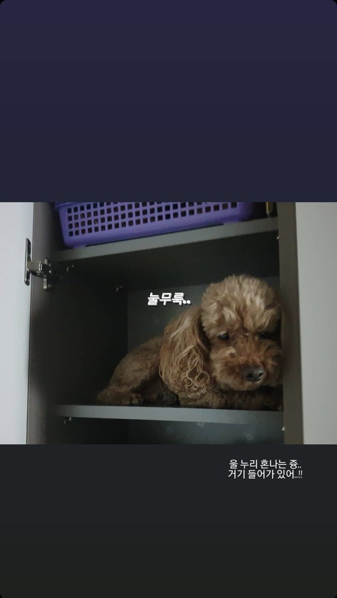 kimyewonpics's tweet photo. 210523 story update https://t.co/zvDydXfkGS