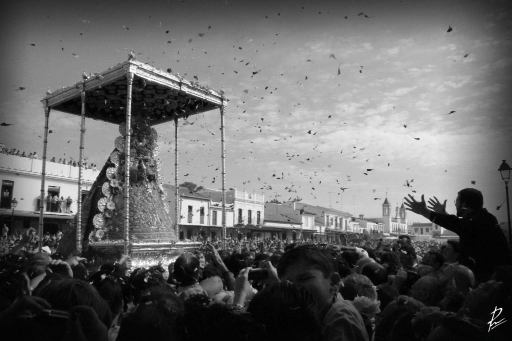 Te dijeron que este año no había Rocío... Y se les olvidó decirte que la Virgen siempre viene a buscarnos para que Dios siempre llegue con su ilusión.
Volveremos, pero sabiendo que nunca nos hemos ido de esas manos.

¡Feliz Pascua de Pentecostés!
¡Viva la Virgen del Rocío!