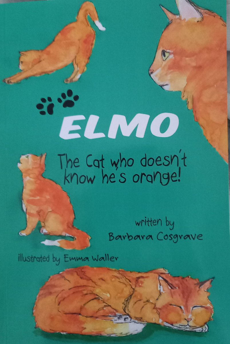 SueAtkins's tweet photo. Simply more wonderful #books in #TheSueAtkinsBookClub 
by @BarbaraElmo @OliverFordham_ @Henrimackenzie @Head2HeartBooks 

https://t.co/H2JEieBrls #reading #kidlit #books 
#BookRecommendations #parents #teachers #parenting #Grandma #grandad https://t.co/2WVEpqqcxc