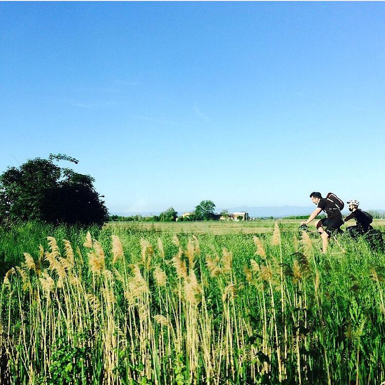 Oggi il #giroditalia attraverserà la nostra Provincia: da #Grado a #Gorizia, dal mare alle colline, guarderemo tanti ciclisti 🚴🏻‍♀️ e tanti paesaggi che conosciamo bene, come quello sulla ciclabile verso la Laguna fotografato da @maurizio.lubrano 
#friuliveneziagiulia